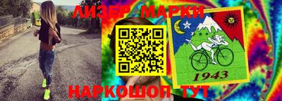 индика Заволжье