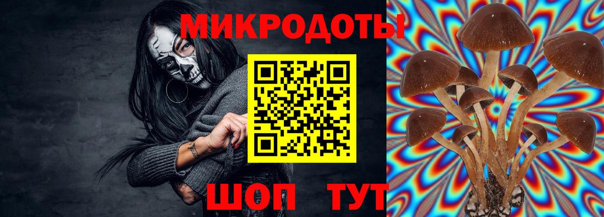 Галлюциногенные грибы мицелий  купить   Лысьва  Вход с VPN 